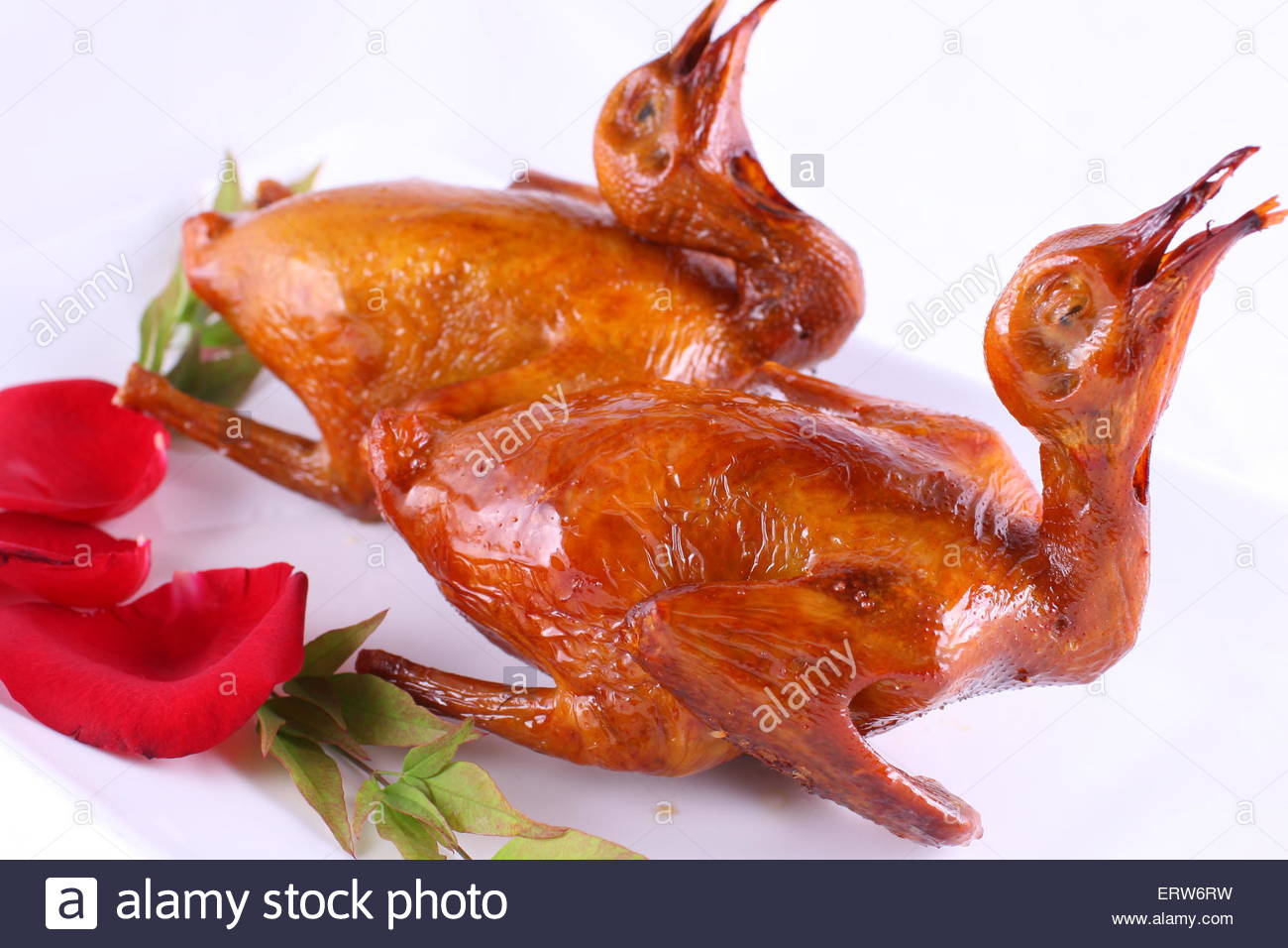 fried-pigeon-ERW6RW.jpg