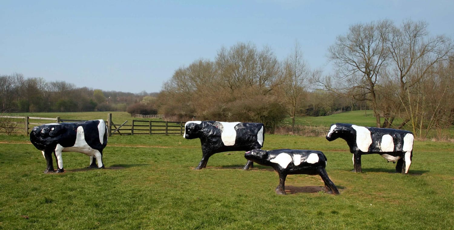 Concrete-Cows-Milton-Keynes.jpg