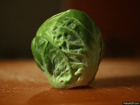 giphy.gif