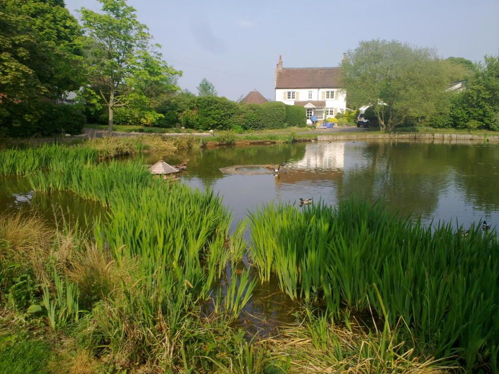Image063.jpg