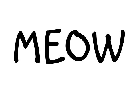 meow.jpeg