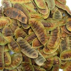 8Senna-Pods_250x250.jpg