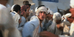 giphy.gif