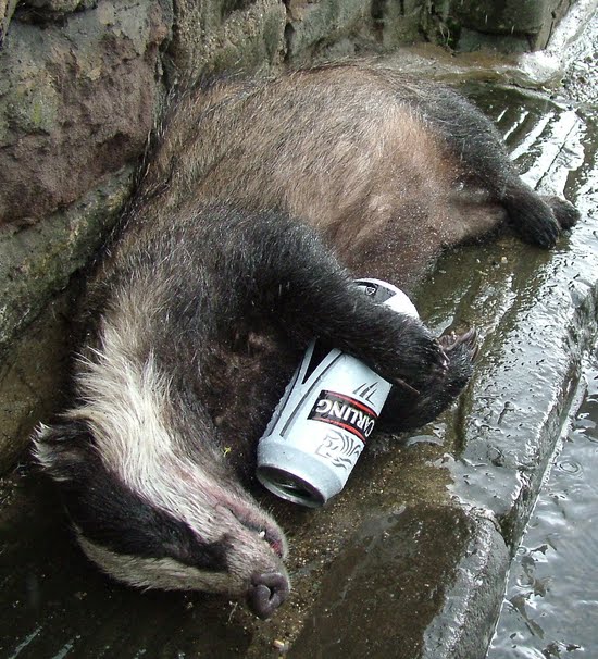 drunkbadger2.jpg