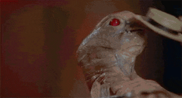200.gif
