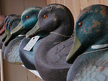 220px-Decoys.jpg