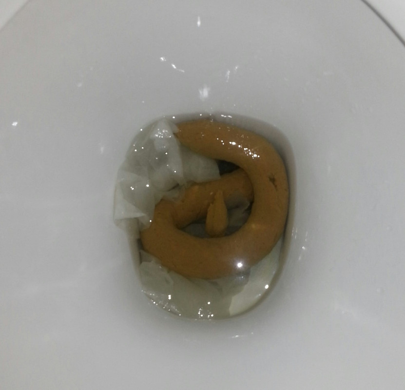 20121113_151915_1.jpg