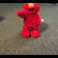 giphy.gif
