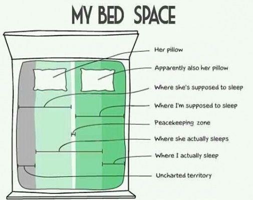 Bed+Space.jpg