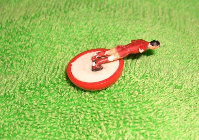 subbuteo.jpg