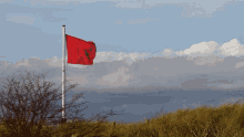 philrileysings-redflag.gif