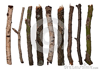 sticks-and-twigs-thumb16402930.jpg