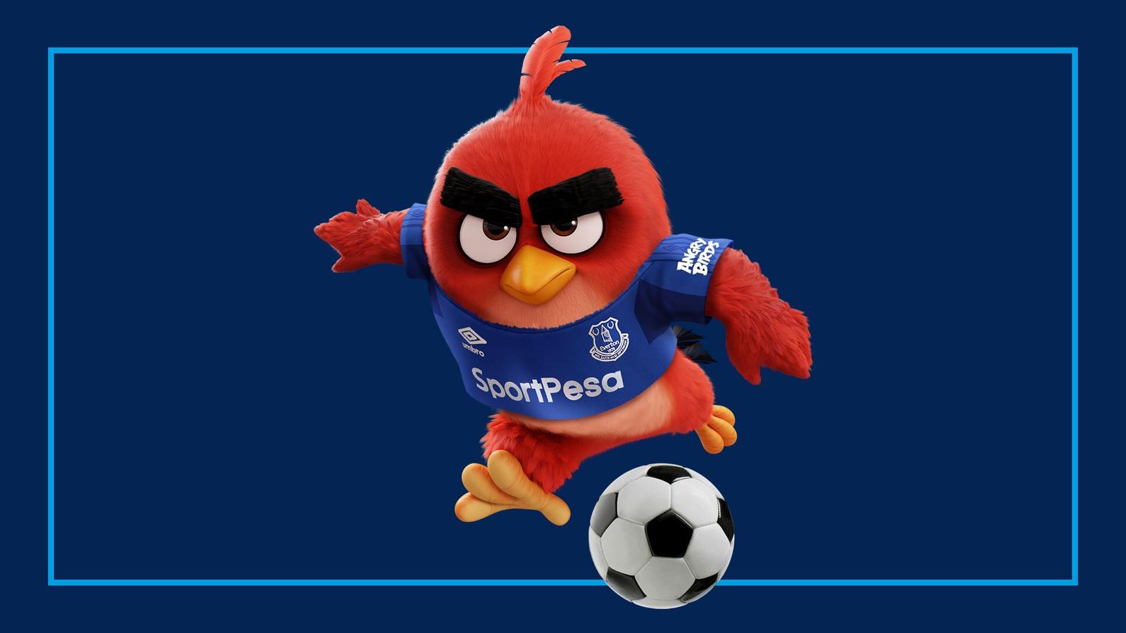 everton-sign-angry-birds-sleeve-sponsor.jpg